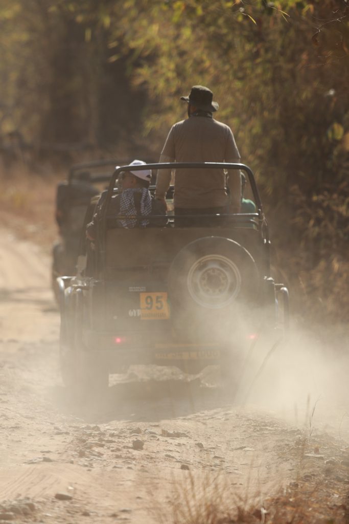 jeep safari in tadoba