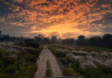 Top Activities in Tadoba