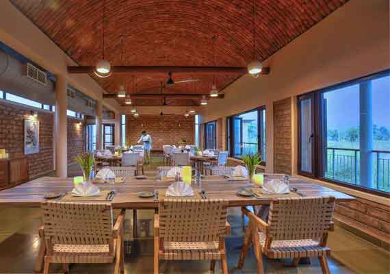 Best Food in Tadoba
