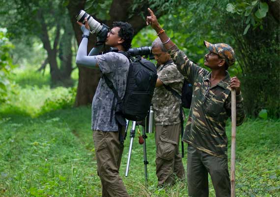 Nature Walk in Tadoba